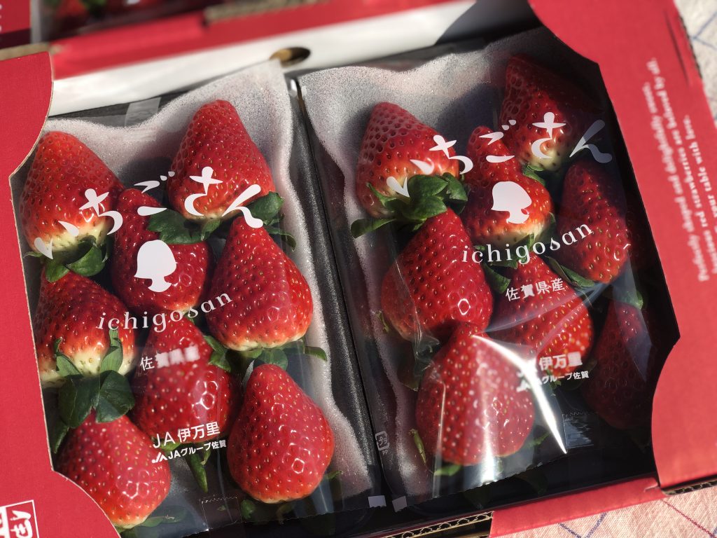 有田いちご 有田いちご|みゆきファーム